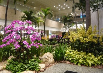 Interior-Landscaping-Ideas