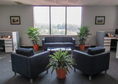 indoor-plants-for-businesses-philadelphia-2017-10