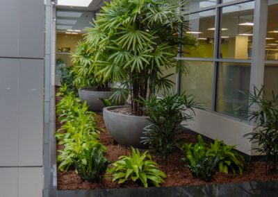 indoor-plants-for-businesses-philadelphia-2017-3