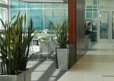 interior-plant-design-plantscape-philadelphia-3816