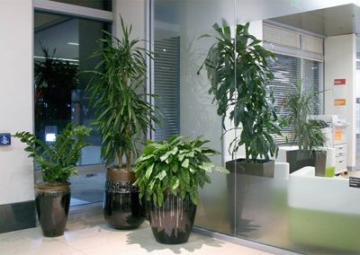 office-plantscape-3