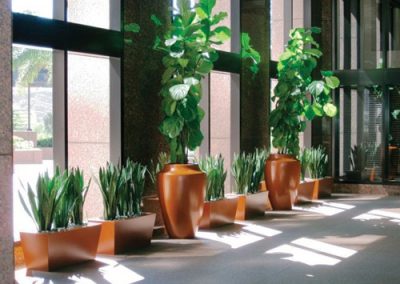ohio-interior-plant-designer-madisonhouse-designs